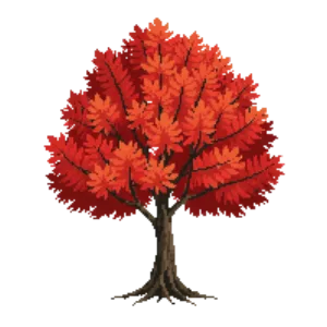 Japanese Maple (autumn) illustration